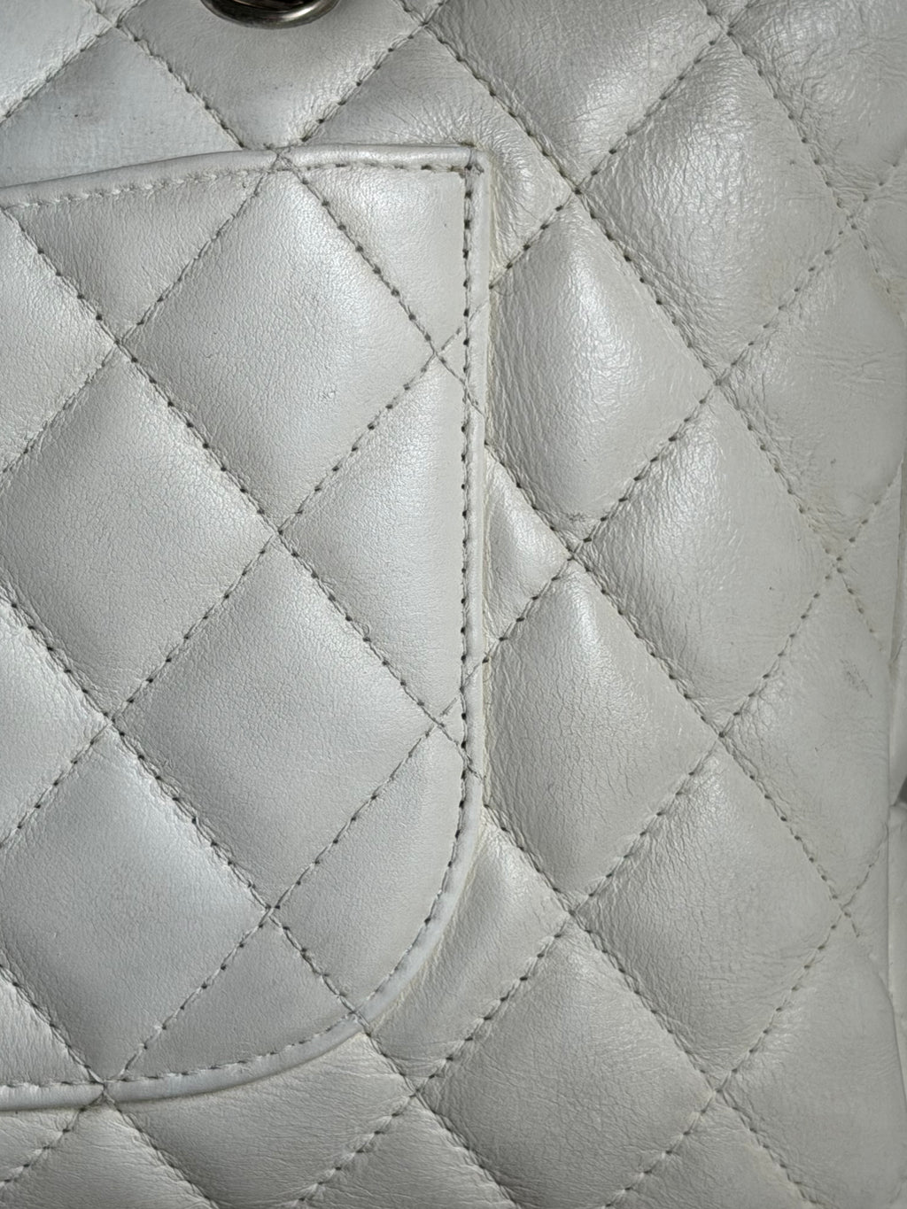 Chanel Cambon Snakeskin Shoulder Bag